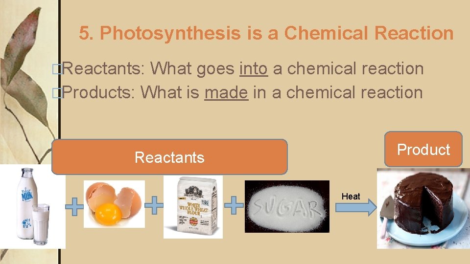 5. Photosynthesis is a Chemical Reaction �Reactants: What goes into a chemical reaction �Products:
