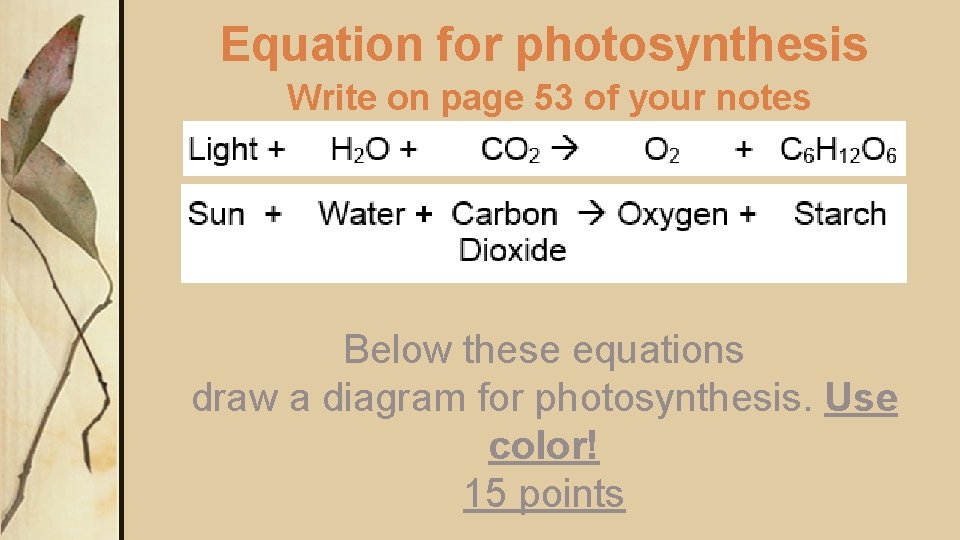 Equation for photosynthesis Write on page 53 of your notes Below these equations draw