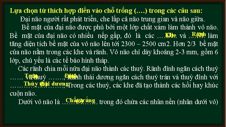 Lựa chọn từ thích hợp điền vào chỗ trống (…. ) trong các câu