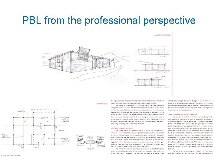 PBL from the professional perspective 