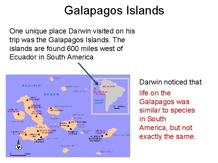 Galapagos Islands One unique place Darwin visited on his trip was the Galapagos Islands.