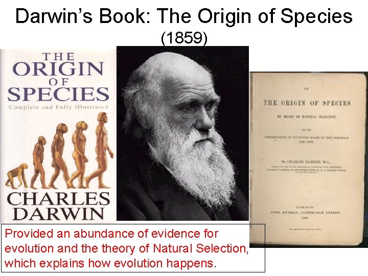 Darwin’s Book: The Origin of Species (1859) Provided an abundance of evidence for evolution
