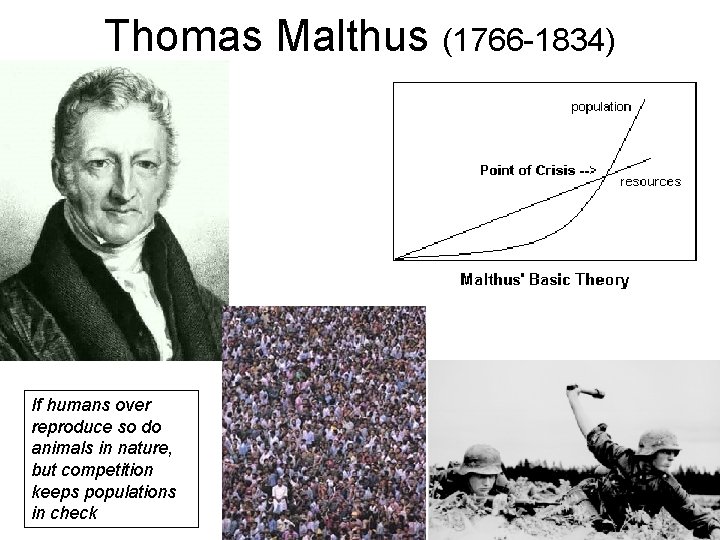 Thomas Malthus (1766 -1834) If humans over reproduce so do animals in nature, but