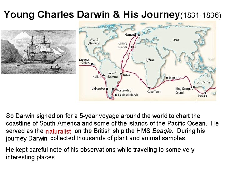 Young Charles Darwin & His Journey(1831 -1836) So Darwin signed on for a 5