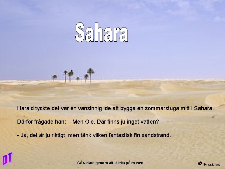 Harald tyckte det var en vansinnig ide att bygga en sommarstuga mitt i Sahara.