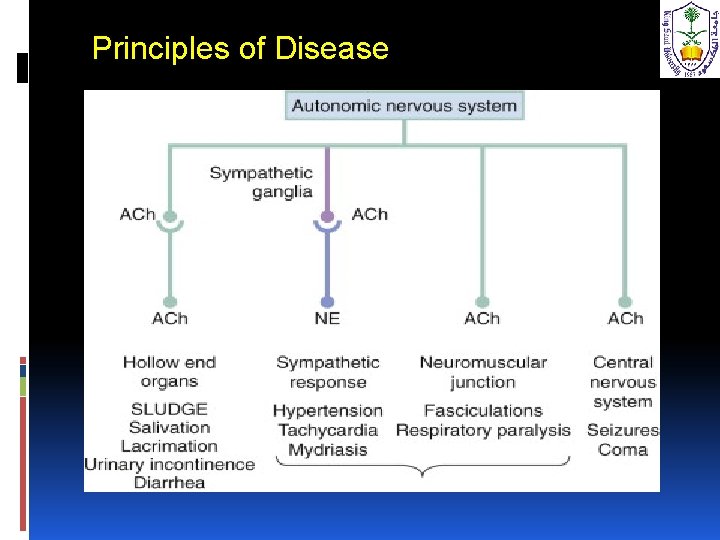 Principles of Disease 