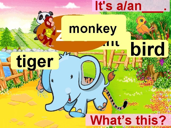 It's a/an___. panda monkey zoo elephant tiger bird What’s this? 