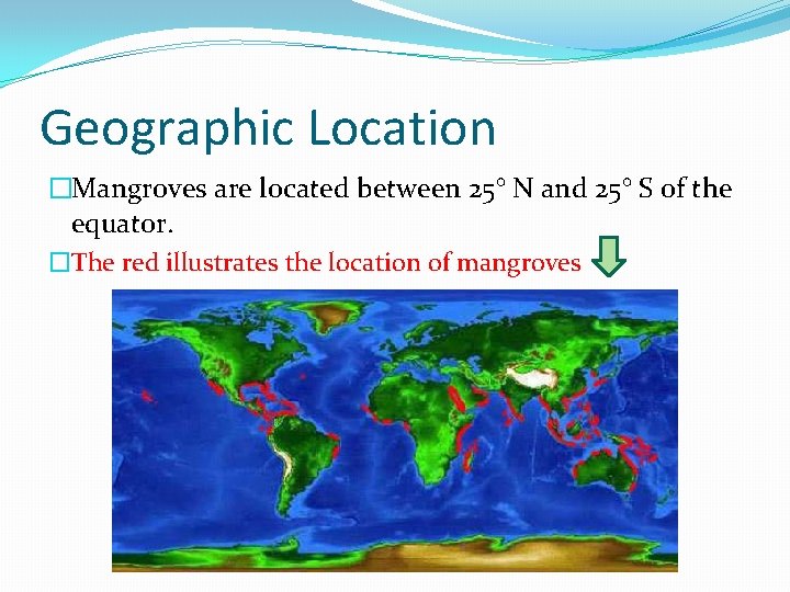 Geographic Location �Mangroves are located between 25° N and 25° S of the equator.