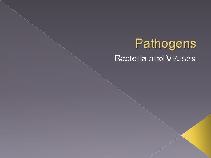 Pathogens Bacteria and Viruses 