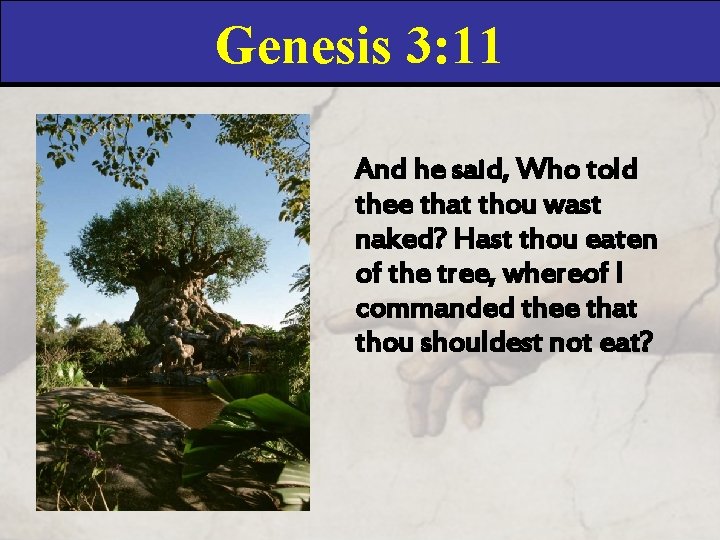 Genesis 3: 11 And he said, Who told thee that thou wast naked? Hast