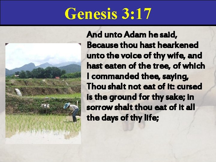 Genesis 3: 17 And unto Adam he said, Because thou hast hearkened unto the