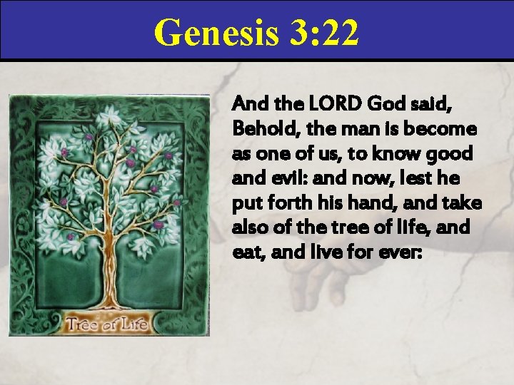 Genesis 3: 22 And the LORD God said, Behold, the man is become as