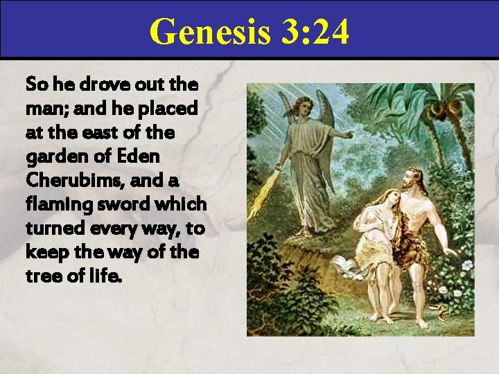 Genesis 3: 24 So he drove out the man; and he placed at the