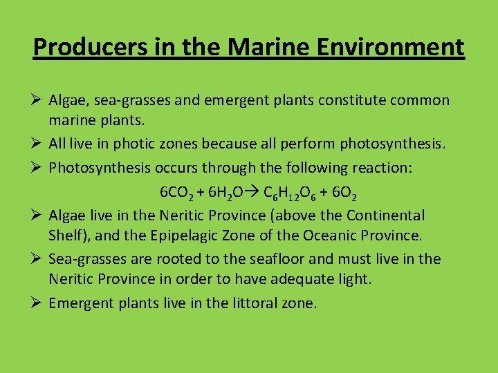 Producers in the Marine Environment Ø Algae, sea-grasses and emergent plants constitute common marine