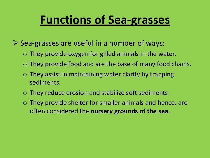 Functions of Sea-grasses Ø Sea-grasses are useful in a number of ways: o They