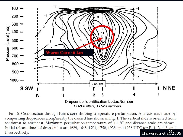 Warm Core ~6 km Halverson et al. 552006 
