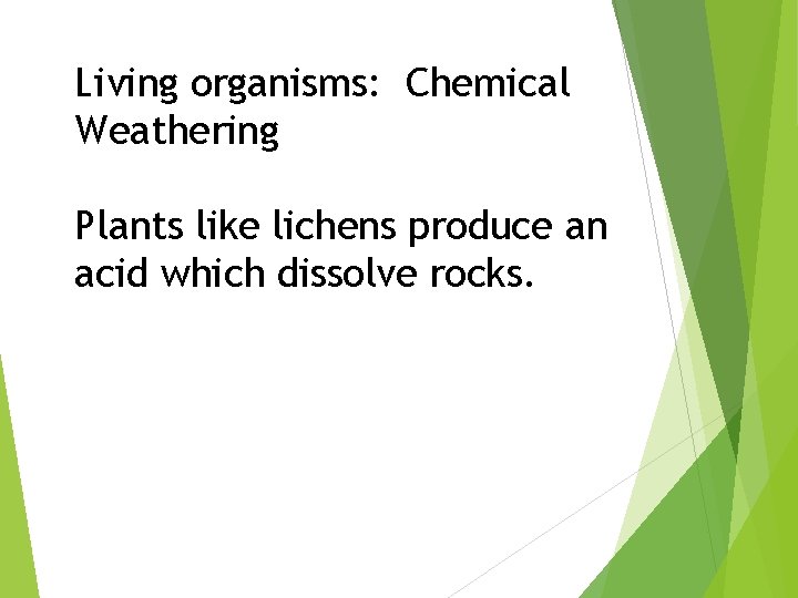 Living organisms: Chemical Weathering Plants like lichens produce an acid which dissolve rocks. 