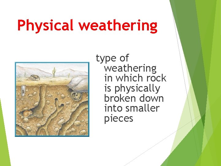 Physical weathering type of weathering in which rock is physically broken down into smaller