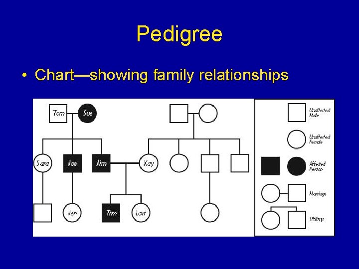 Pedigree • Chart—showing family relationships 