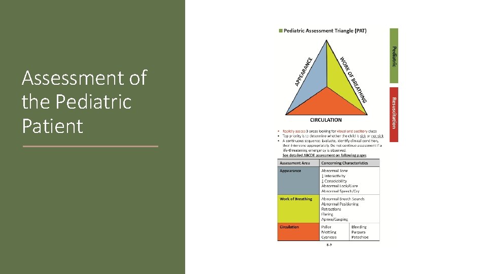 Assessment of the Pediatric Patient 