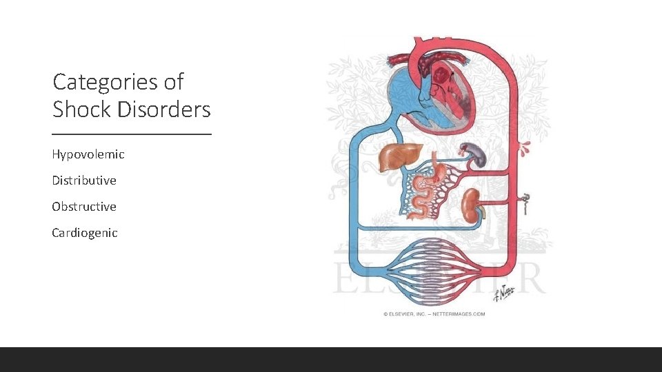 Categories of Shock Disorders Hypovolemic Distributive Obstructive Cardiogenic 