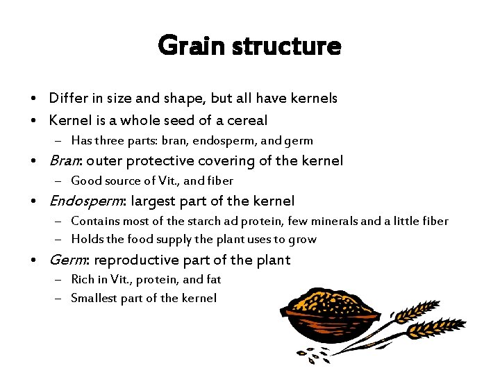 Grain structure • Differ in size and shape, but all have kernels • Kernel