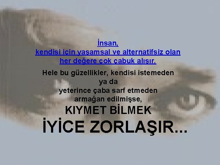 İnsan, kendisi için yaşamsal ve alternatifsiz olan her değere çok çabuk alışır. Hele bu