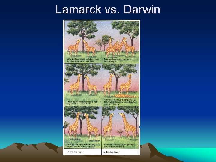 Lamarck vs. Darwin Lamarck vs. Darwin
