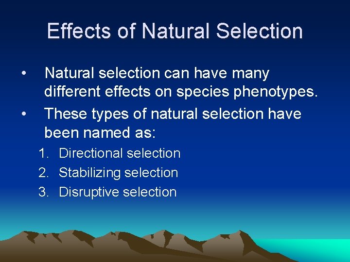 Effects of Natural Selection • • Natural selection can have many different effects on Effects of Natural Selection • • Natural selection can have many different effects on