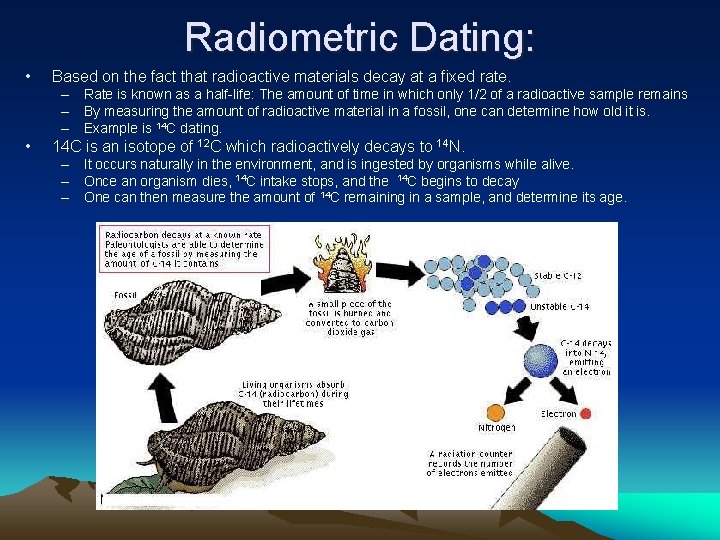 Radiometric Dating: • Based on the fact that radioactive materials decay at a fixed Radiometric Dating: • Based on the fact that radioactive materials decay at a fixed