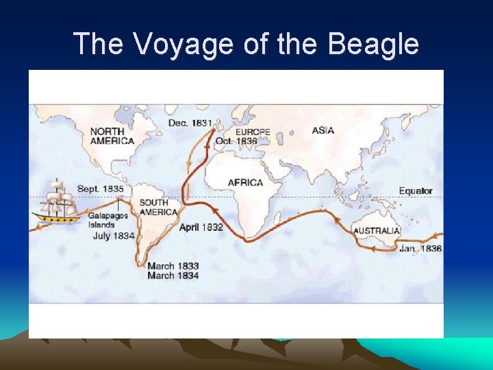 The Voyage of the Beagle The Voyage of the Beagle