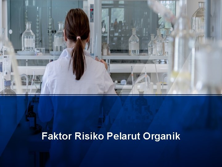 Faktor Risiko Pelarut Organik 