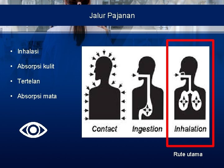 Jalur Pajanan • Inhalasi • Absorpsi kulit • Tertelan • Absorpsi mata Rute utama