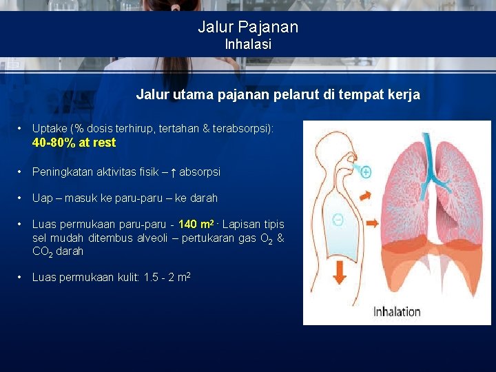 Jalur Pajanan Inhalasi Jalur utama pajanan pelarut di tempat kerja • Uptake (% dosis