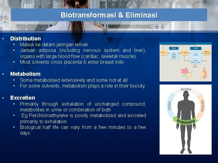 Biotransformasi & Eliminasi • Distribution • • Metabolism • • • Masuk ke dalam
