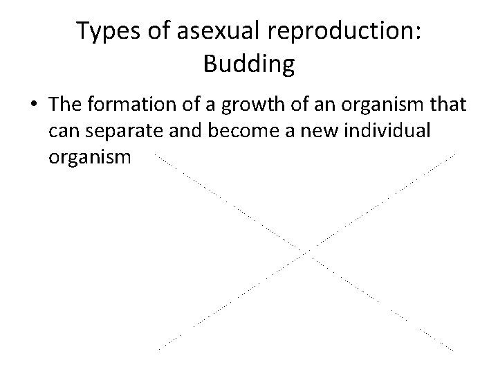 Types of asexual reproduction: Budding • The formation of a growth of an organism