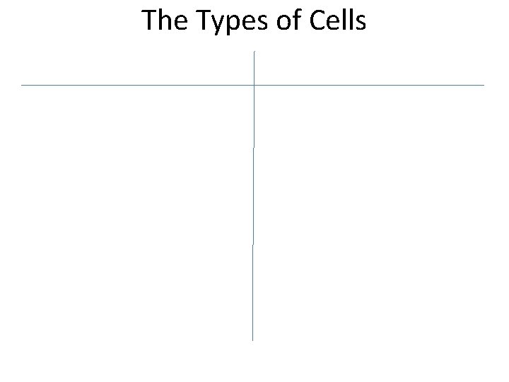 The Types of Cells 