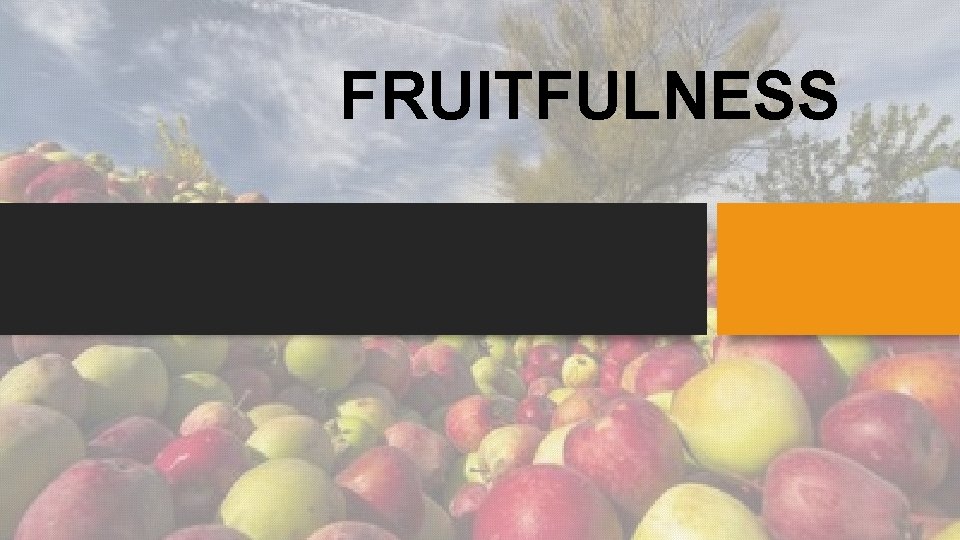 FRUITFULNESS 