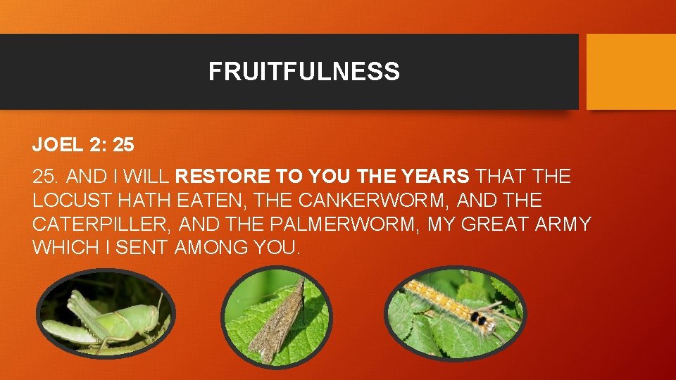 FRUITFULNESS JOEL 2: 25 25. AND I WILL RESTORE TO YOU THE YEARS THAT