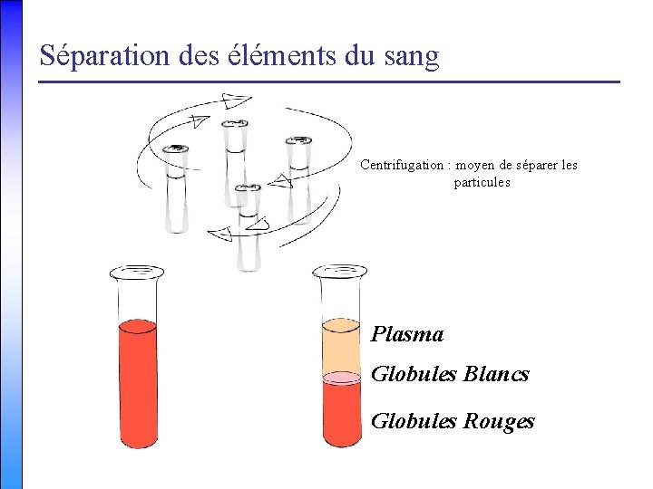 Séparation des éléments du sang Centrifugation : moyen de séparer les particules Plasma Globules