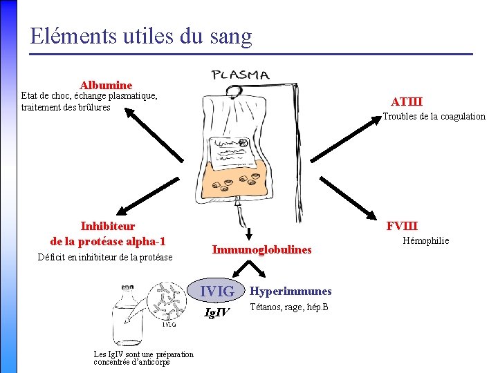 Eléments utiles du sang Albumine Etat de choc, échange plasmatique, traitement des brûlures ATIII