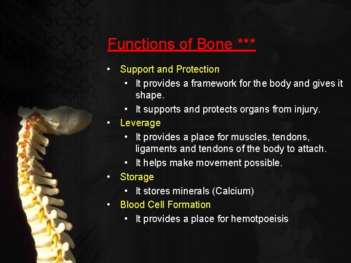 Functions of Bone *** • Support and Protection • It provides a framework for