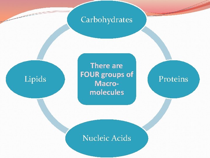 Carbohydrates Lipids There are FOUR groups of Macromolecules Nucleic Acids Proteins 