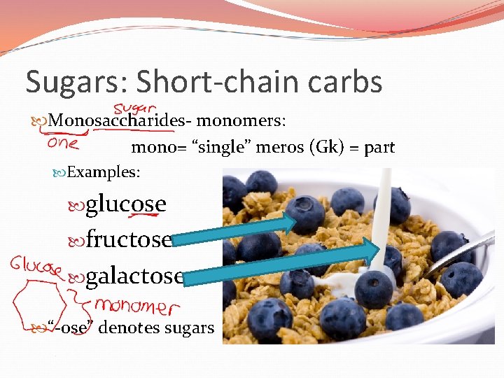 Sugars: Short-chain carbs Monosaccharides- monomers: mono= “single” meros (Gk) = part Examples: glucose fructose