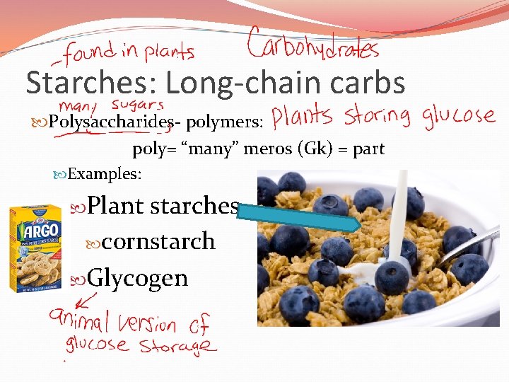 Starches: Long-chain carbs Polysaccharides- polymers: poly= “many” meros (Gk) = part Examples: Plant starches
