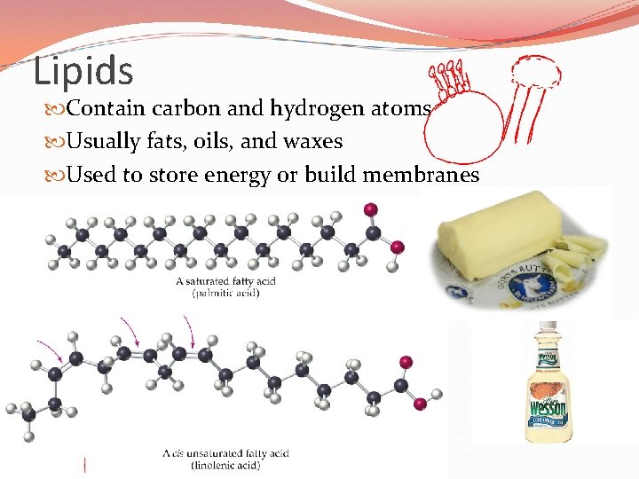 Lipids Contain carbon and hydrogen atoms Usually fats, oils, and waxes Used to store