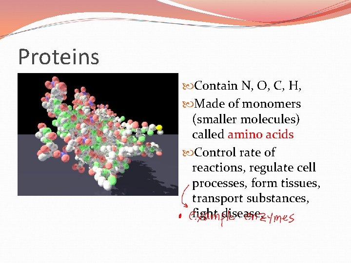 Proteins Contain N, O, C, H, Made of monomers (smaller molecules) called amino acids