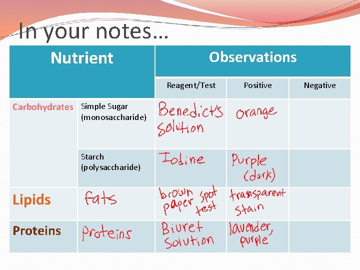 In your notes… Nutrient Observations Reagent/Test Carbohydrates Simple Sugar (monosaccharide) Starch (polysaccharide) Lipids Proteins