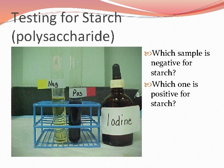 Testing for Starch (polysaccharide) Which sample is negative for starch? Which one is positive