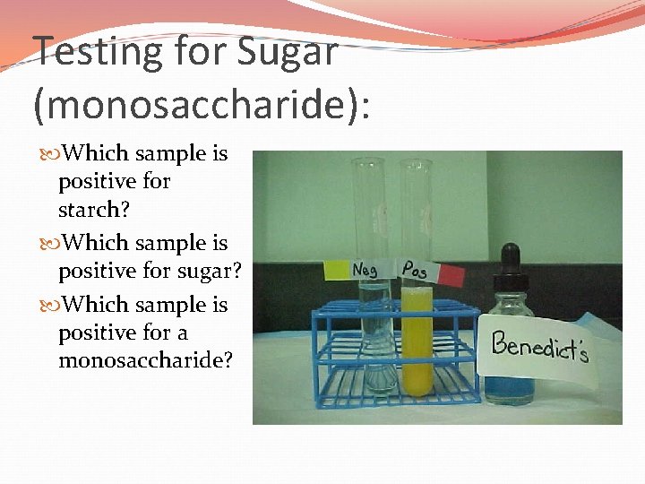 Testing for Sugar (monosaccharide): Which sample is positive for starch? Which sample is positive